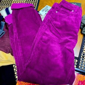 Fuchsia BDG Corduroy Pants